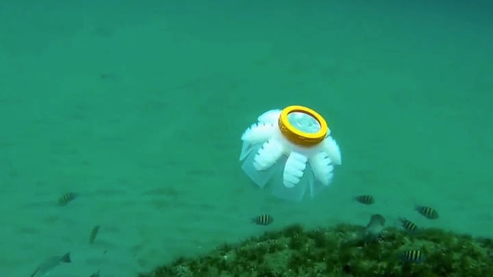 (+Video) Medusas robot serán las nuevas guardianes del océano afirman científicos
