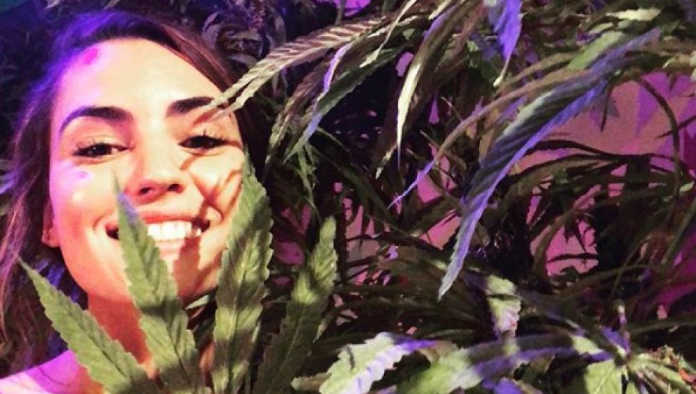 Con la cachimba más grande del planeta, abre sus puertas primer museo interactivo de Marihuana en Las Vegas