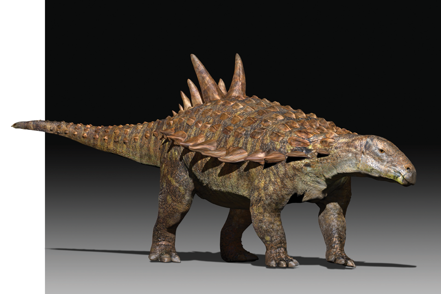 Otro dinosaurio fue encontrado en México: el Acantholipan Gonzalezi