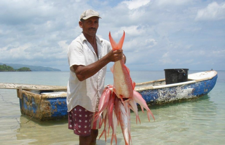 La FAO pide regular la pesca artesanal para garantizar la sostenibilidad en América Latina