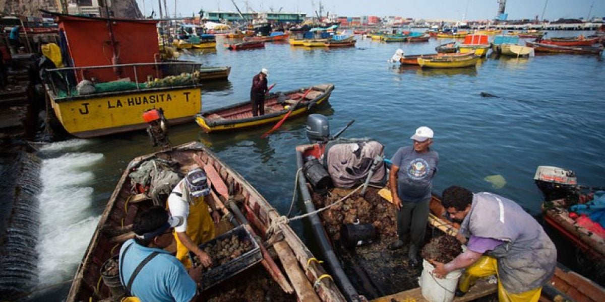 Y ese mar que tranquilo te baña: La anulación de la «Ley de Pesca» que nunca se concretó