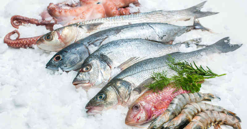 (Fotos) Venden pescado con ‘lentes de contacto’ para atraer clientes