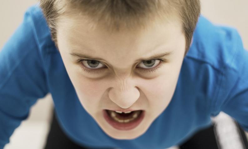 Cientificos descubren el marcador cerebral que genera agresividad en los niños
