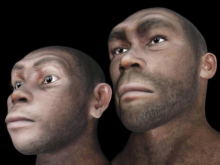 ¿Cambiamos con el tiempo? En fotos observa cómo será el rostro humano en el futuro ¿Cambiamos con el tiempo? En fotos observa cómo será el rostro humano en el futuro