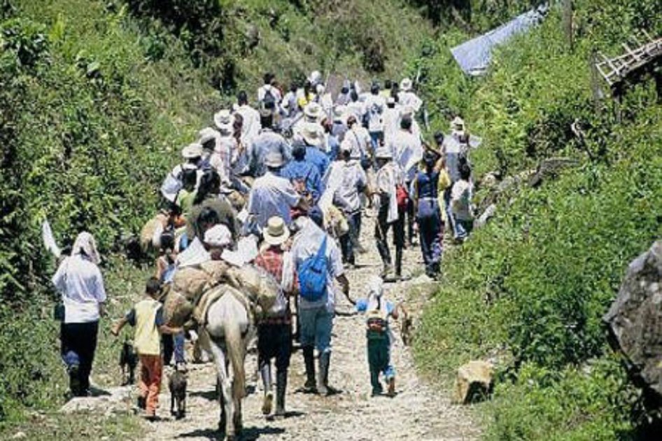Crece desplazamiento campesino en Ituango por violencia narcoterrorista