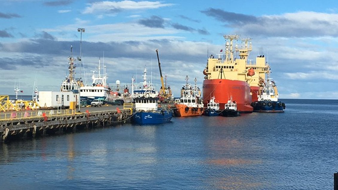 Acusan a industria salmonera por graves daños a la flora y fauna marina en Magallanes