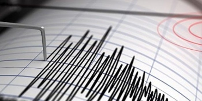 Terremoto de 6.9 sacude norte de Nueva Zelanda