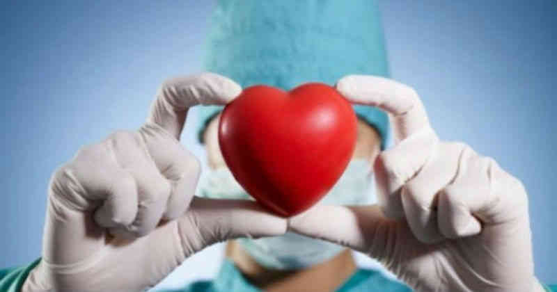 Gobierno alemán propone que la donación de órganos sea obligatoria