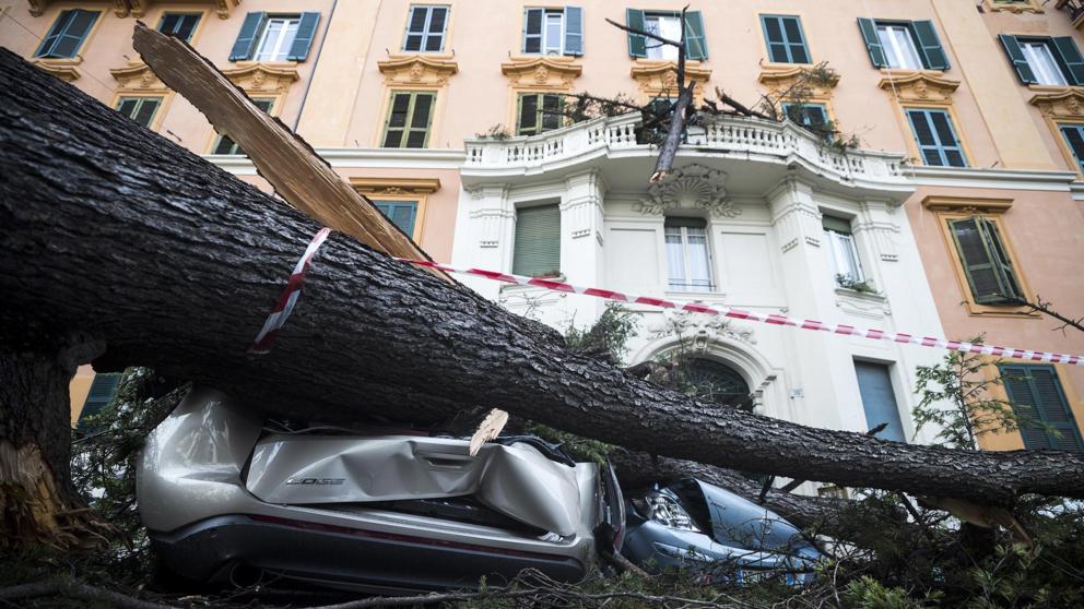 Temporal de lluvia y fuertes vientos deja 9 muertos en Italia