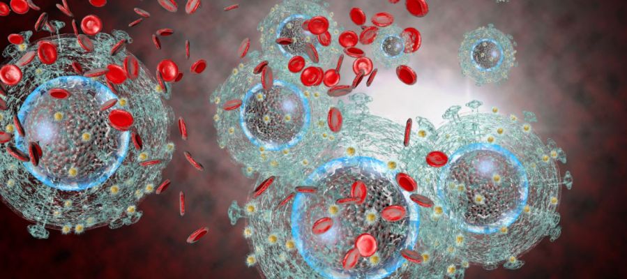 Trasplante de células madre logra eliminar el VIH en seis pacientes