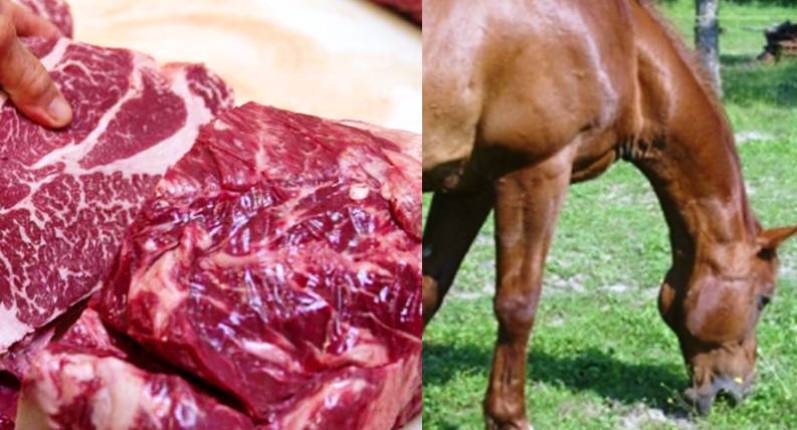 4 detenidos por vender carne de caballo en Venezuela