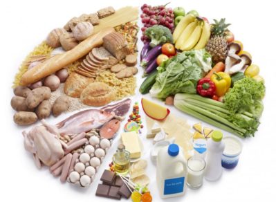 alimentos