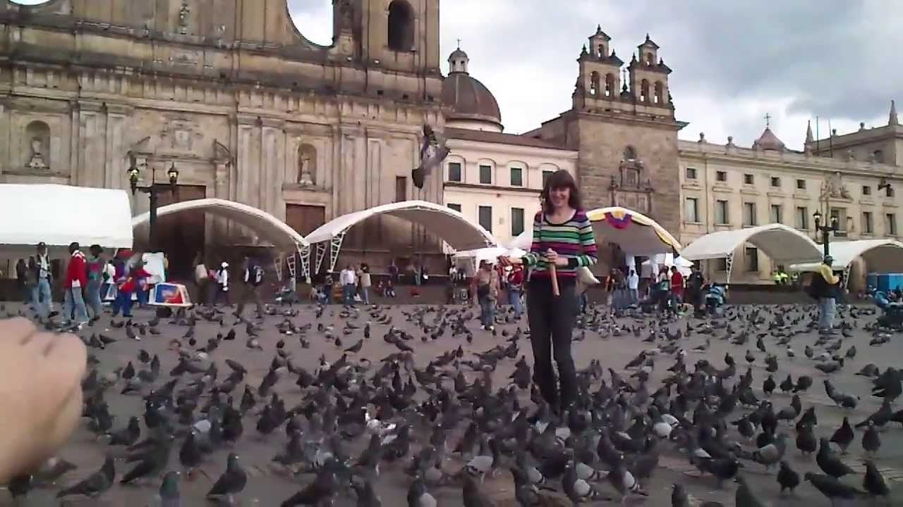 Sobrepoblación de palomas amenaza a la plaza Bolívar de Bogotá