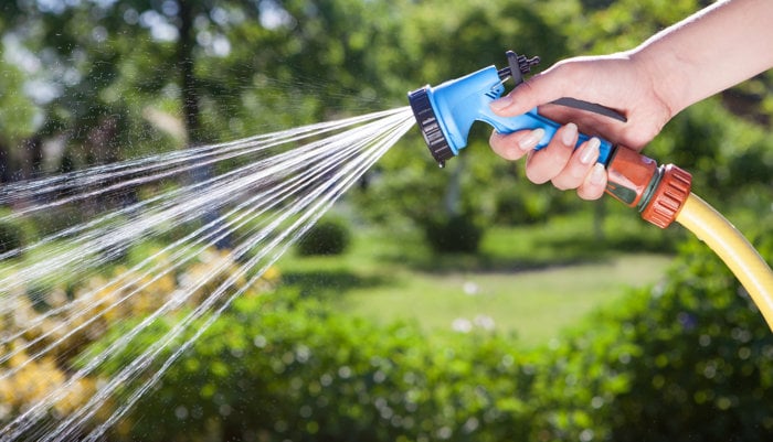 El Ciudadano | Si quieres ahorrar agua no siembres césped en tu jardín