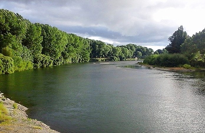 Vecinos culpan a ESSAL: Denuncian contaminación en río Rahue de Osorno