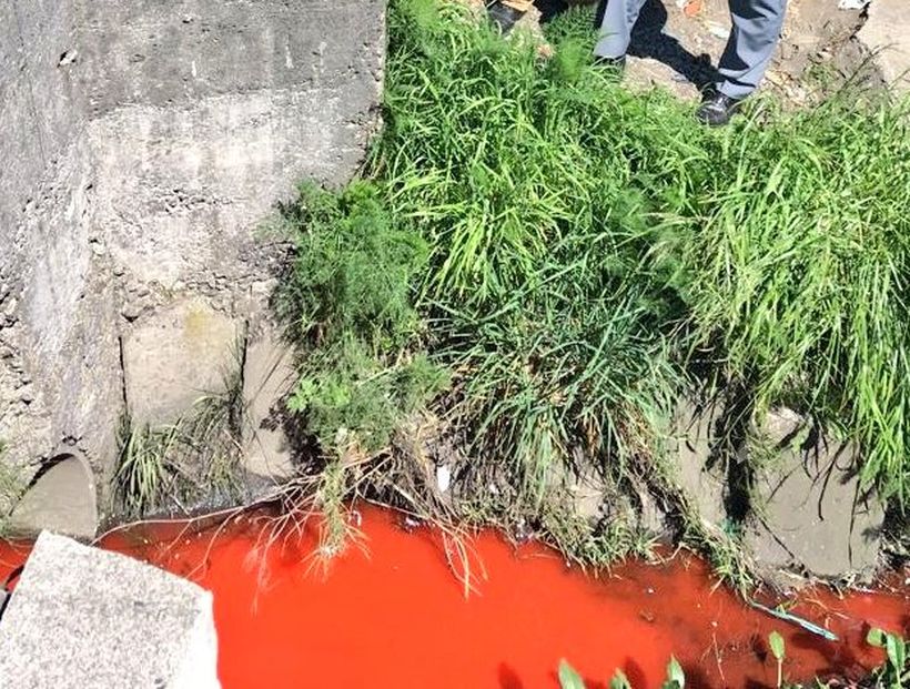 Talcahuano: Abren sumario contra Sodimac por vertimiento de líquido rojo en el canal Ifarle
