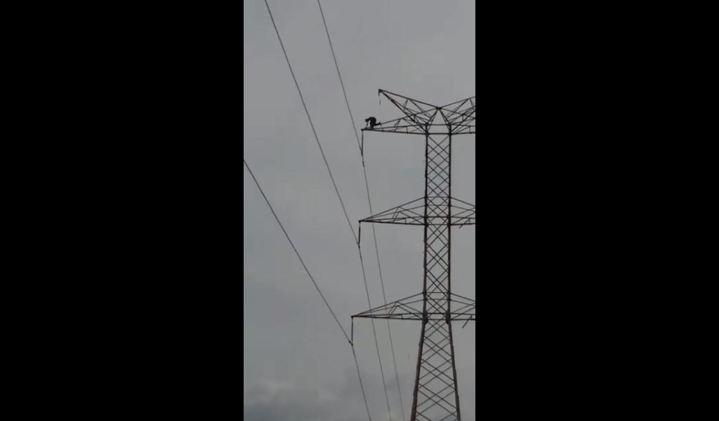 (Video) Peligros de la depresión: Joven se quita la vida en torre de alta tensión en Colombia