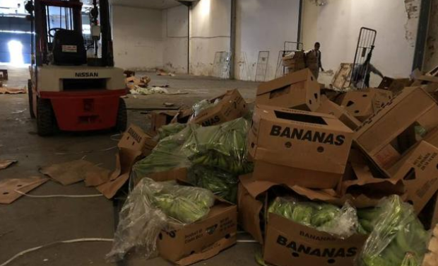 Ocultas en bananas: Más de 6 toneladas de droga incautaron en España