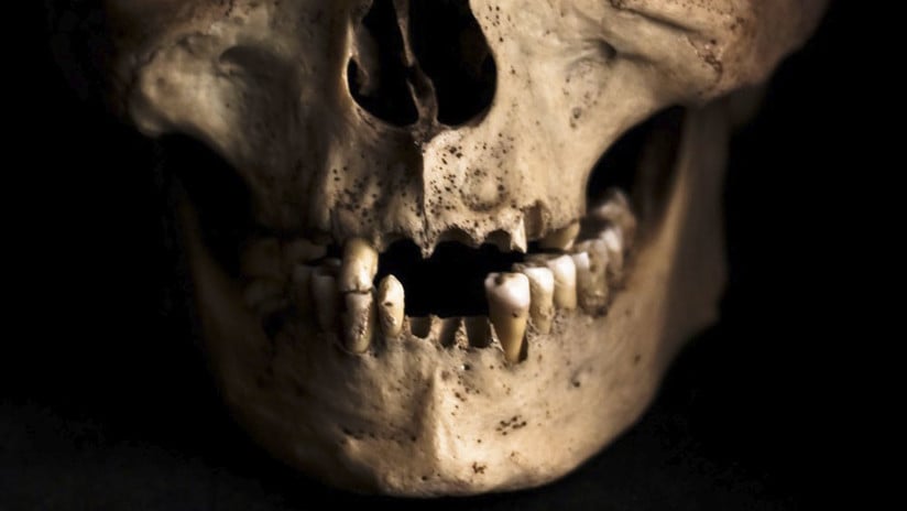 (Foto) ¡De terror! Obreros encuentran 1.000 dientes ocultos dentro de una pared