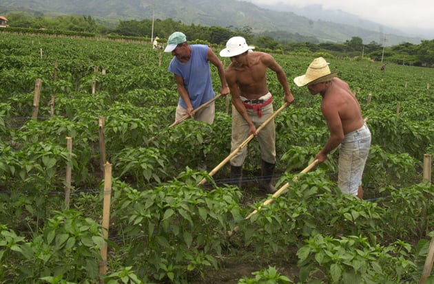 Entregan instrumentos de adjudicación de tierras a campesinos venezolanos