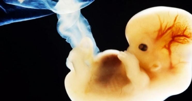 La edición genética en embriones humanos está un paso más cerca de ser una realidad
