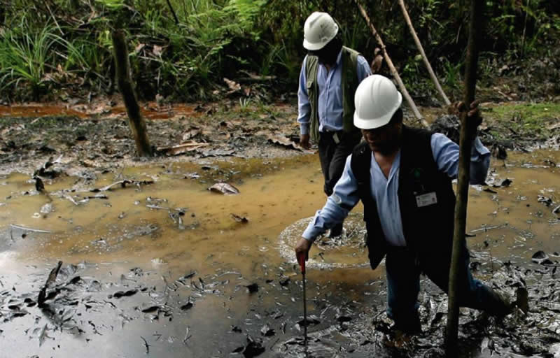 Amazonía brasileña a la venta en nombre del petróleo y del gas