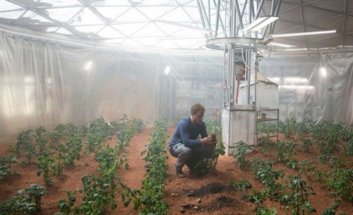 Cultivar en el espacio será posible gracias a una hormona vegetal