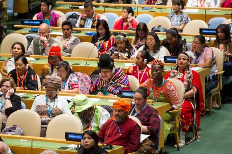 ONU asegura que indígenas son criminalizados por defender el ambiente