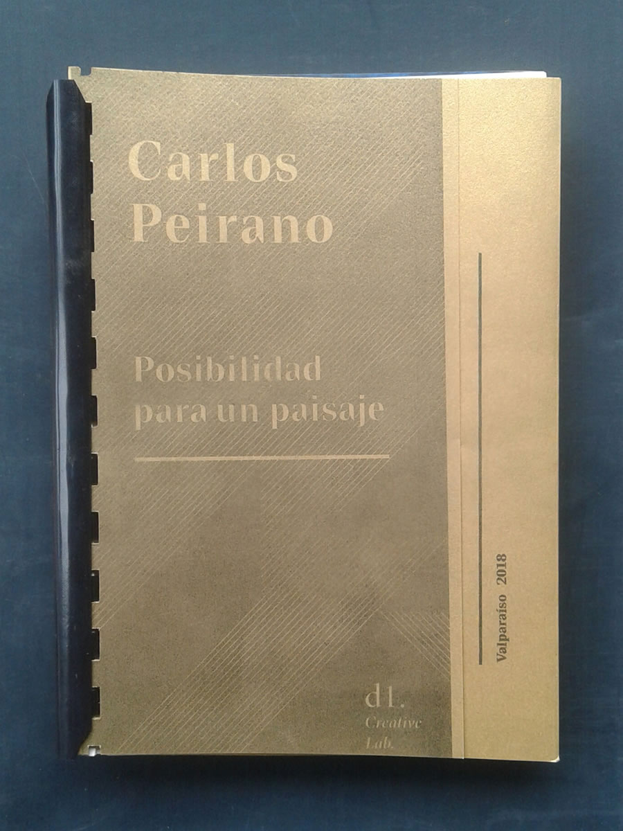 «Posibilidad para un paisaje» de Carlos Peirano: Un libro raro como plataforma para ulteriores ficciones