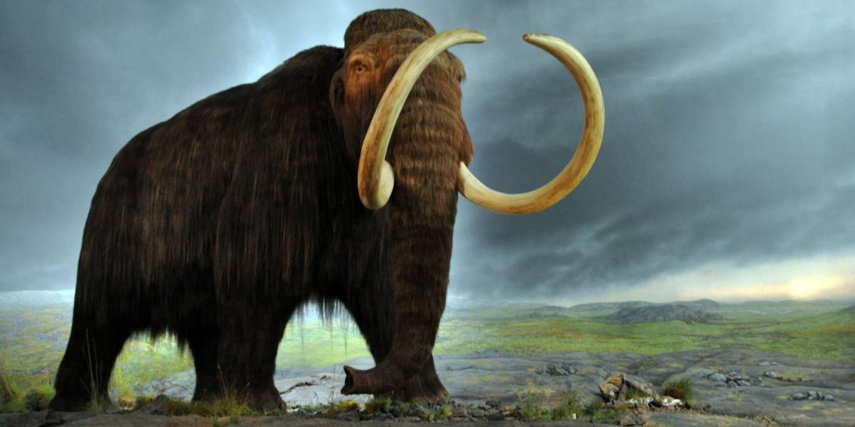(Fotos) Descubren restos de un mamut en un territorio ruso impensable