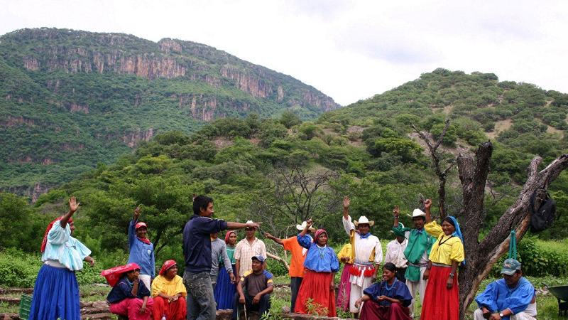 Latinoamérica apuesta por integrar la biodiversidad a la producción alimentaria