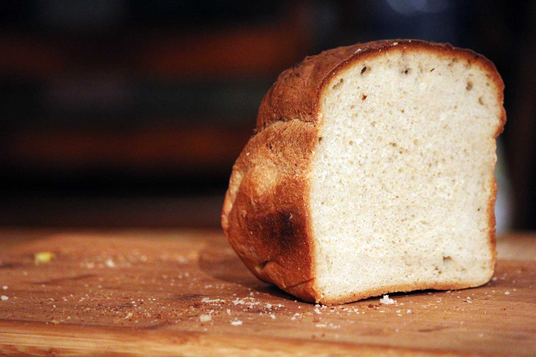 Pan de cucarachas, una alternativa proteica