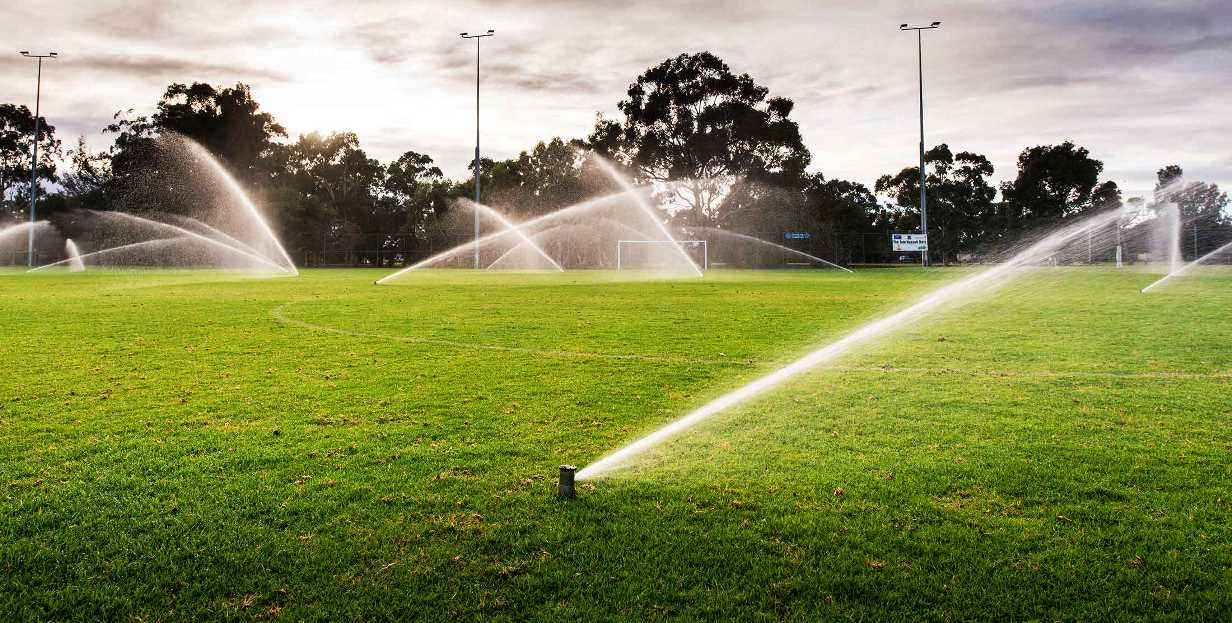 Si quieres ahorrar agua no siembres césped en tu jardín