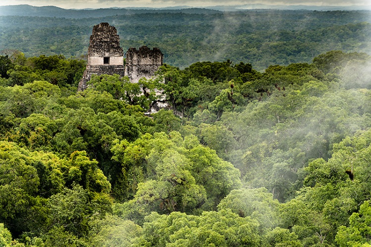 Arqueólogos guatemaltecos descubren una red de más de 60.000 estructuras mayas bajo la selva