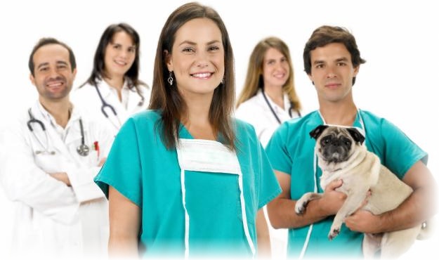 Congreso Mundial de Medicina Veterinaria se realizará por primera vez en América Latina