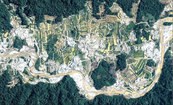 Noruega entregará US$ 230 millones a Perú para reducir deforestación de la Amazonía