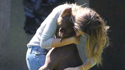 Un «súper» perro atacó a un hombre que maltrataba a su pareja