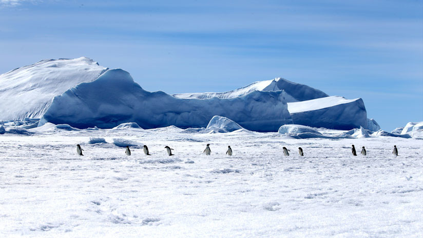 (Video) Científicos buscan restos de antiguos continentes debajo de la Antártida