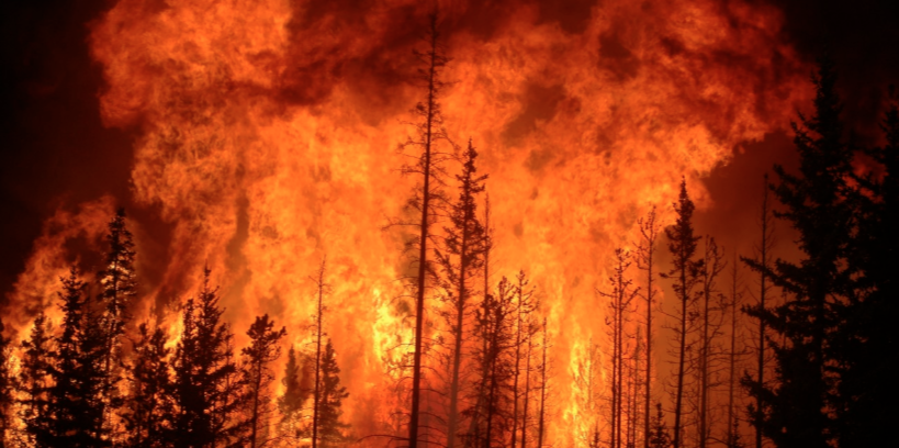 Incendios forestales aumentaron un 43% en el último año