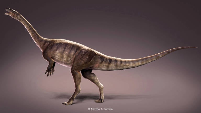 En Brasil descubren  nueva especie de dinosaurios