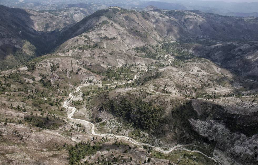 Haití: Un país que se está quedando sin bosques