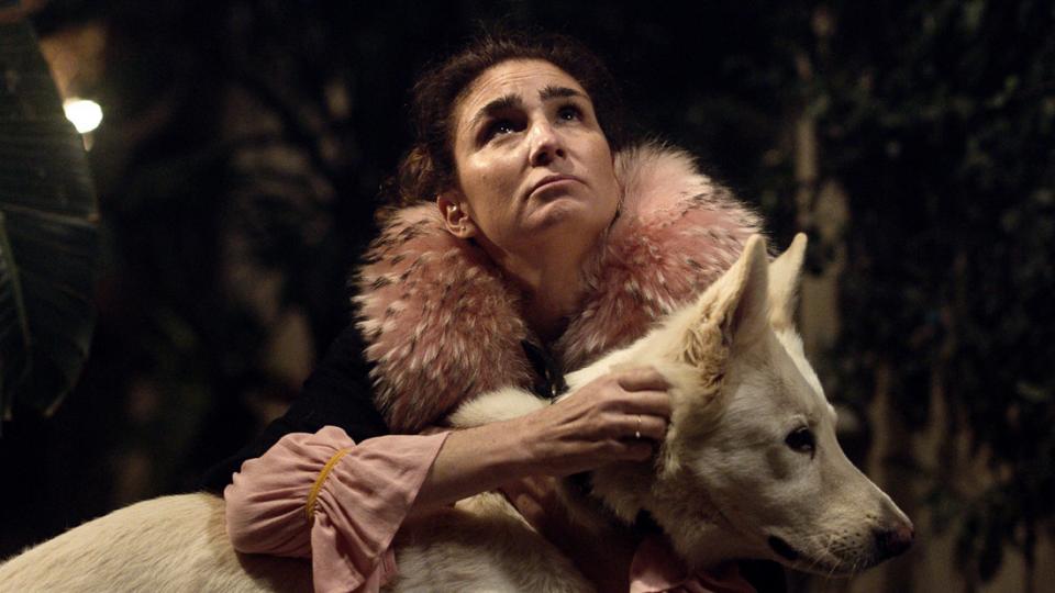 Festival de cine latinoamericano celebra su XX aniversario en Suiza