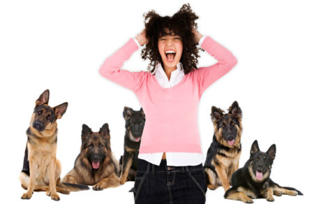 ¿Miedo irracional a los perros? entérate aquí si sufres de cinofobia
