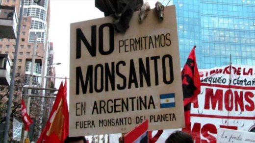 Semillas Monsanto Argentina
