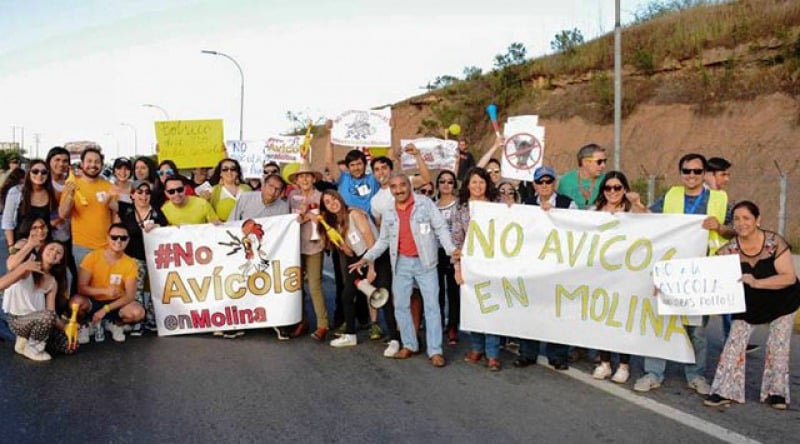 Molina: Vecinos protestan por posible instalación de avícola cerca del parque Radal-Siete Tazas