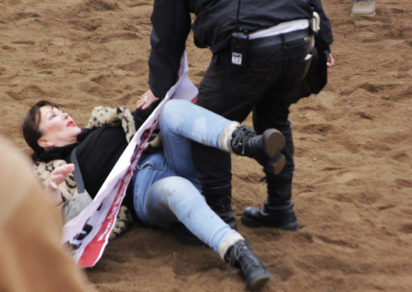 Reconocida actriz y activistas de Animal Libre serán formalizados por protestar en rodeo