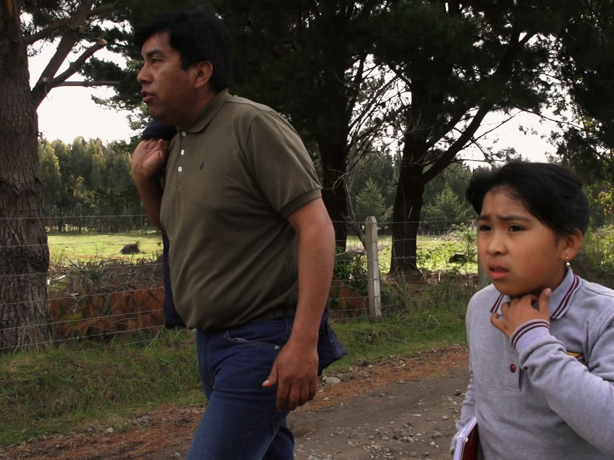 Programan nuevas exhibiciones de documental Txageltü en Valparaíso y la provincia de Aconcagua