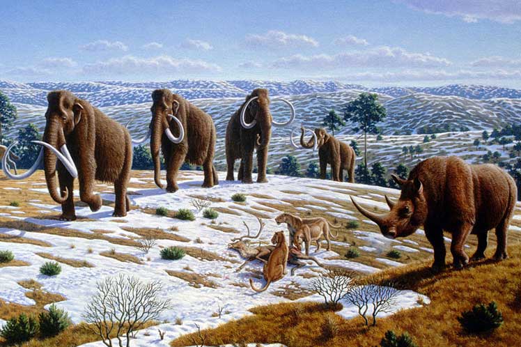 ¿Qué originó la extinción de animales en el continente africano?