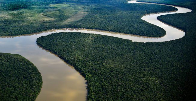 En riesgo la Amazonía brasileña por fusión de ministerios de Ambiente y Agricultura