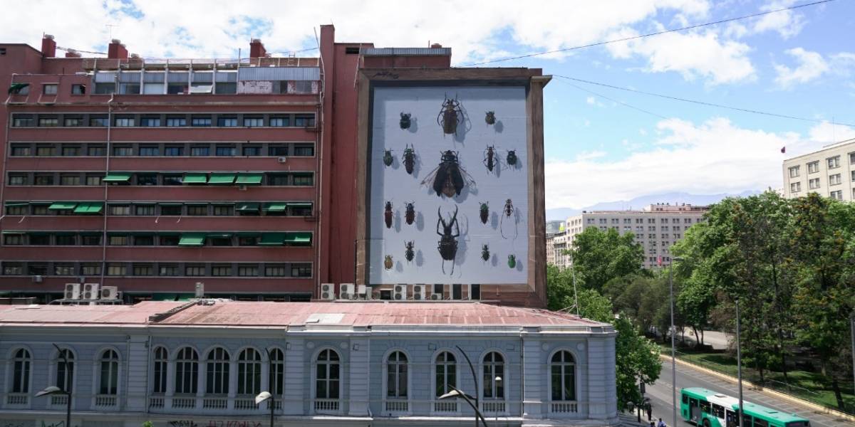 Insectos gigantes aterrizaron en Santiago: Espectacular mural hiperrealista en Amunátegui con Alameda